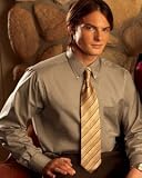 Van Heusen Men's Dress Twill (13V521)