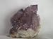 Very Rare Amethyst Cactus Spirit Quartz Crystal Cluster, 8.17.6