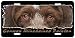  - German Wirehaired Pointer 