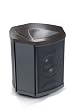 MartinLogan Depth i High-Performance Triple 8-Inch Servo-Control Subwoofer (Single, Black Ash)