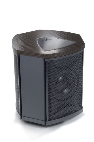 MartinLogan Depth i High-Performance Triple 8-Inch Servo-Control Subwoofer (Single, Black Ash)