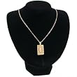Big Black Velvet Necklace Chain Bust Jewelry Showcase Display