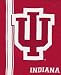 All Products : Indiana Hoosiers 50"x60" Royal Plush Raschel Throw Blanket - Mesh Style