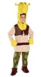 Deluxe Kids Shrek Costume