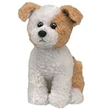 Knowing God: Walking through the Book of Books