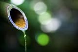 Asian Bamboo Fountain - 18