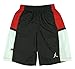 Nike Boys Youth Jordan Mesh Basketball Shorts