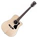 Guild D-150CE Acoustic Electric Guitar with Hardshell Case