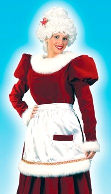 Mrs Santa Velvet Adult Plus Size Costume