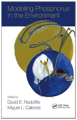 Modeling Phosphorus in the Environment