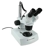 Professional Stereo Microscope