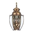 Sea Gull Lighting 8580-01 Single-Light Society Hill Outdoor Wall Fixture with Clear Curved Beveled Glass, Antique Brass