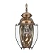 Sea Gull Lighting 8580-01 Single-Light Society Hill Outdoor Wall Fixture with Clear Curved Beveled Glass, Antique Brass