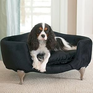 Marie Antoinette Fine-furniture Pet Sofa - Frontgate Dog Bed