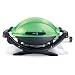 Weber Gasgrill Q 100, grün