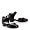 Black Patent