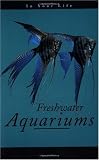 Freshwater Aquariums in Your Life