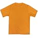TAIGA Tee Shirt - Men's Polartec  PowerDry  Quick Dry T-Shirt, MADE IN CANADA