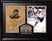 Ray Bourque 16X20 Hhof Virtual - Memorabilia
