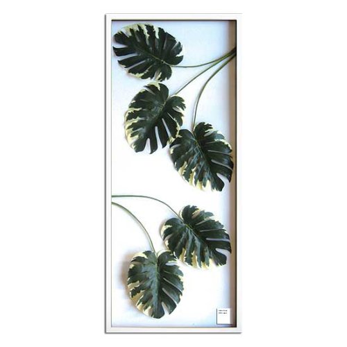 F-style リーフパネル・570x1375x30mm　Monstera deliciosa