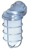 Nuvo Lighting 76/622 Industrial Style Large Wall Mount, Metallic Silver