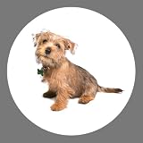 Yorkshire Terrier Puppy Dog Breed Round Badge