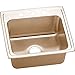Elkay DLR221910MR2-CU Sink Lustrous Highlighted Satin