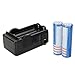 3.7V 18650 3000mah Rechargeable Lithium Battery with Charger (2 Batteries)