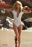 Farrah Fawcett Poster Movie 19x28 Farrah Fawcett