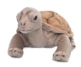 Wwf - 15212004 - Peluche - Tortue Terrestre - 20 cm