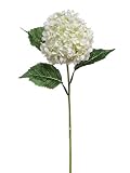 Club Pack of 12 Floral Blossom Snow White Hydrangea Artificial Silk Flowers 24