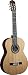 Guild GAD-C1 Acoustic Design Classical Guitar w/Hardshell Case