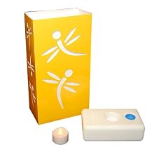 Dragonfly Luminaria Kit