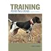 Training Pointing Dogs, 2nd