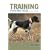 Training Pointing Dogs