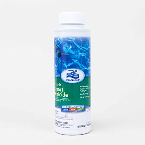 BioGuard Smart Algicide - Pint