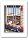 HIROSHIGE Asakusa Ricefields - 8x10 - MATTED PRINT