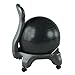 j/fit Stability Ball Chair