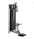 Life Fitness Biceps/Triceps Machine