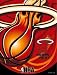 NBA Vertical Miami Heat Flag / Banner