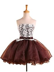 Strapless Lace Organza Cocktail Short Evening Dress/Homecoming Dress/Prom Dress/Wedding Party Dress 