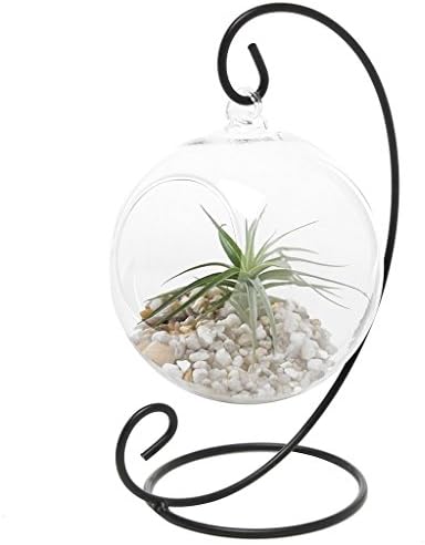 Mastone Charming Clear Glass Globe Hanging Terrarium Air Planter / Tea Light Candle Holder Lantern with Metal Stand