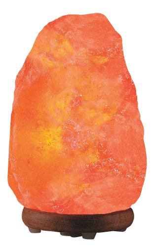 WBM 8-Inch Himalayan Natural Crystal Salt Lamp with Bulb and Cord
