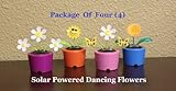 Solar Powered Dancing Flowers - 4 Pack of Various Flowers