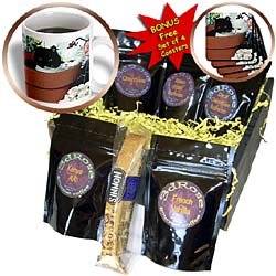 Cats - Black and White Cats - Coffee Gift Baskets - Coffee Gift Basket