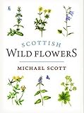 Scottish wild flowers