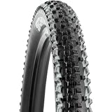 Schwalbe Racing Ralph MTB Tire - Folding Silver, 26x2.25-Evo