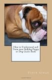 How to Understand and Train your Bulldog Puppy or Dog Guide Book