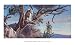 On the Alert by Kalon Baughan. Size 36.00 inches width by 17.83 inches height. High Q...