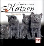 Liebenswerte Katzen